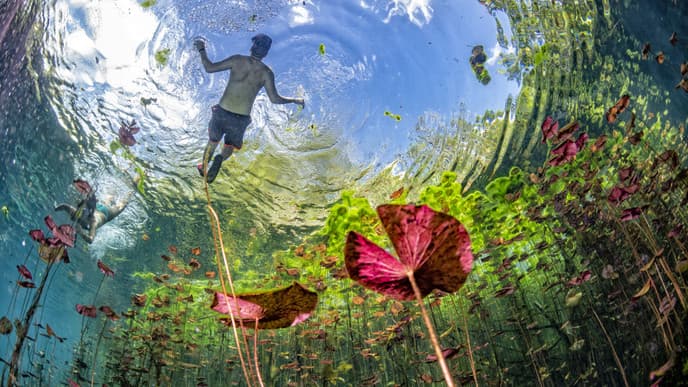Swim in a little-known cenote