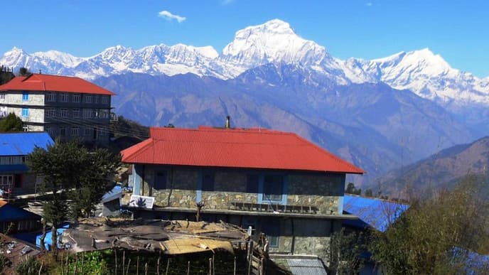 Trek from Ulleri to Ghorepani