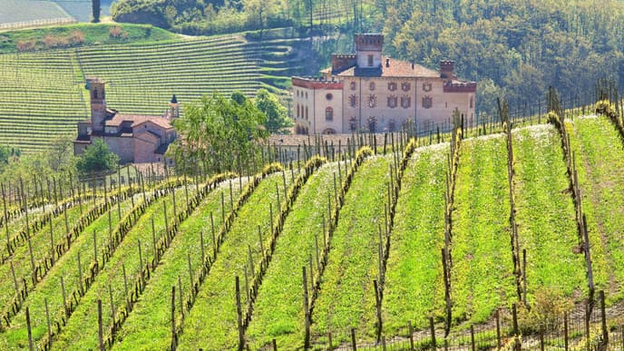Discover the wines of Barolo