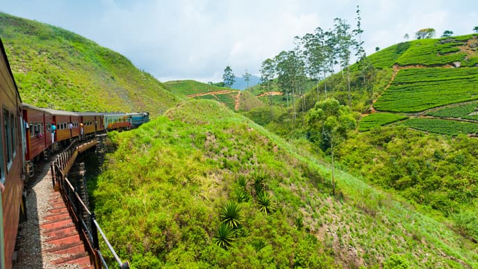 Zugfahrt durch die Teeplantagen