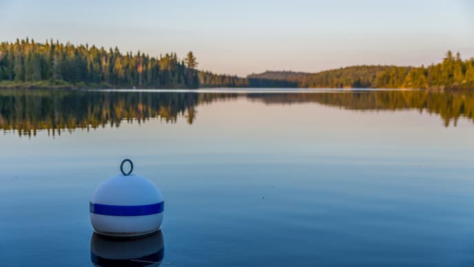 Journey to the wilderness