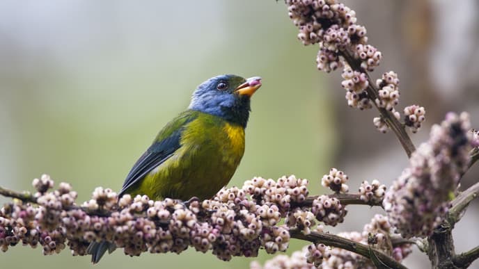 Naturaktivitäten im Regenwald