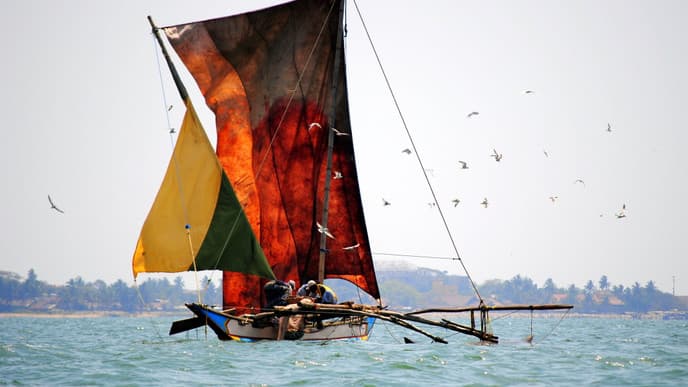 Auf Wiedersehen, Sri Lanka!