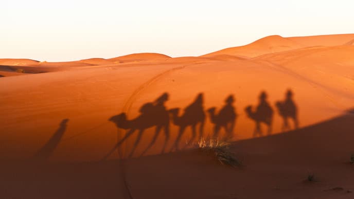 Unforgettable saharan trek