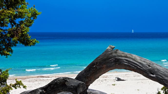 Protected coastal reserves & delightful wineries