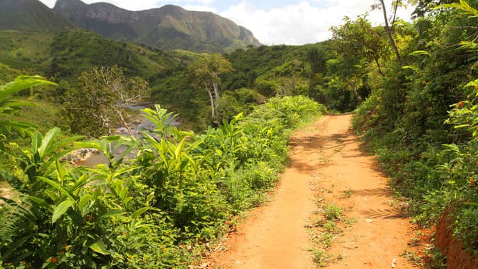 Zu Besuch bei einer besonderen Lemurenart