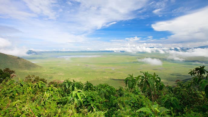 Explore the Ngorongoro Crater, the Largest Caldera in the World