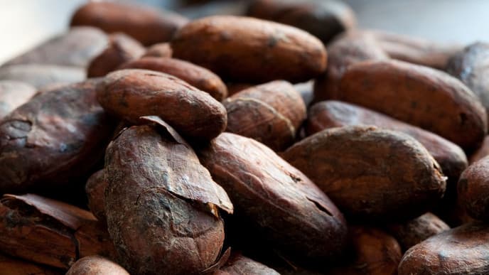 Tour the Historical Town of Santa Fe de Antioquia