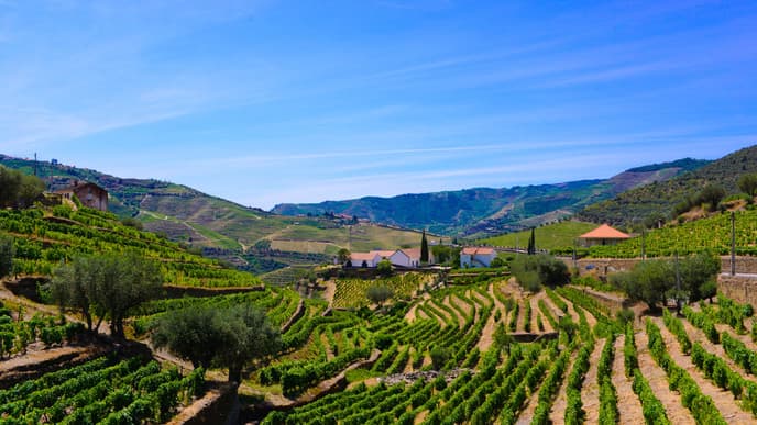 Weinprobe und Bootsfahrt im Douro-Tal