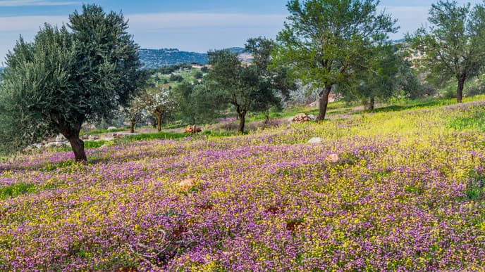 Hike the Rasoun Trail