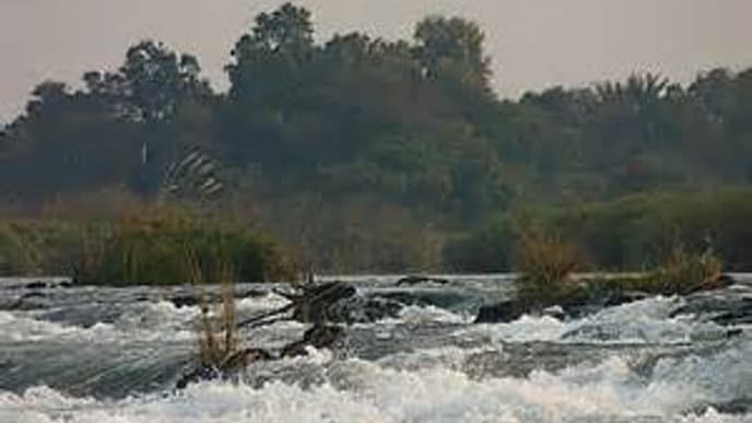 Die Ufer des Okavango