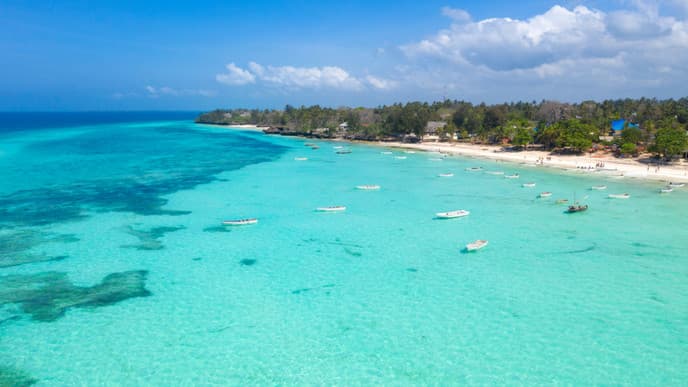 Spice farms & romance in Zanzibar