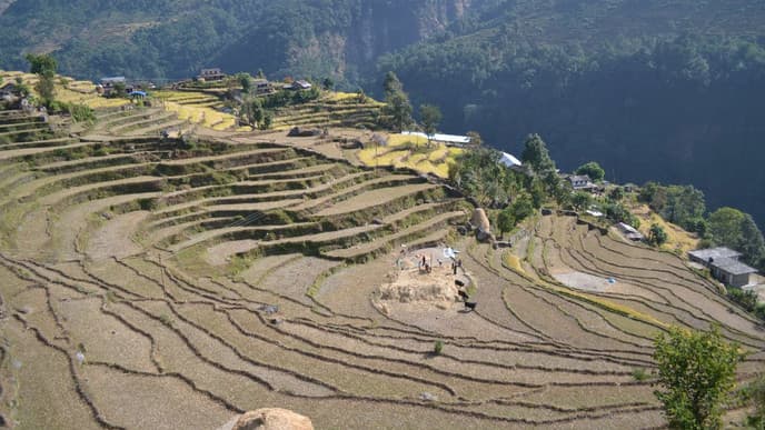 Über Hängebrücken nach Naudada