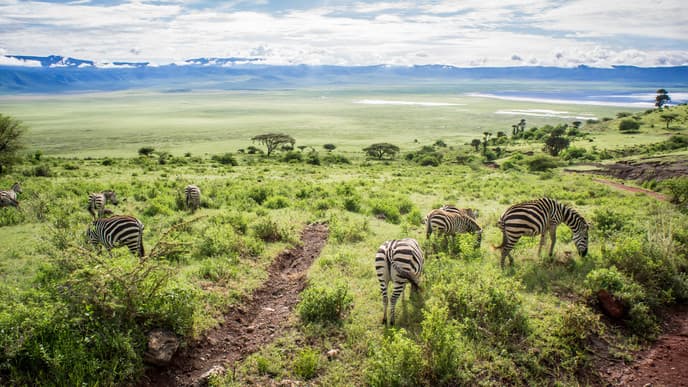 Ngorongoro-Krater