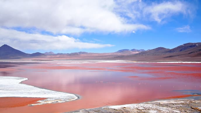 Traverse the High Desert and See Flamingos