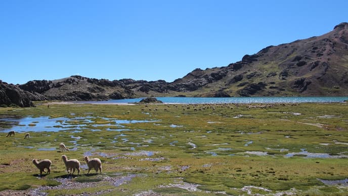 Enjoy the silence at Pampas