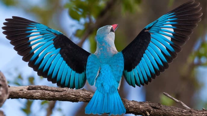 Wildnis im Lake Manyara Nationalpark