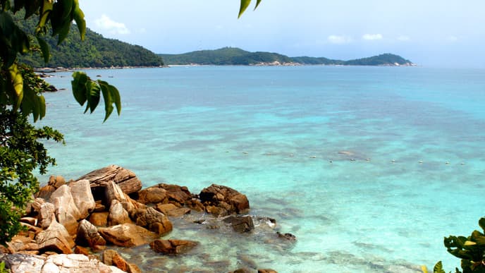 Ride the Ferry to Paradise