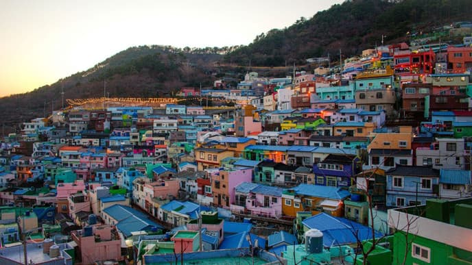 Busan's temples, blooms & buzzing markets