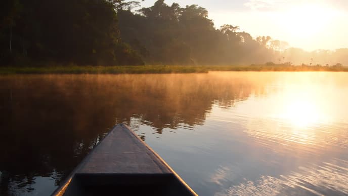 Abschied vom Dschungel