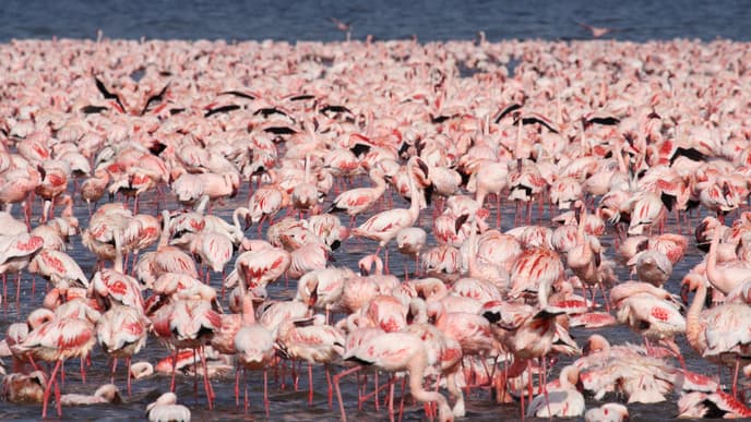 Traverse the Great Rift Valley
