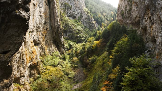 Observation Platform and fantastic Caves