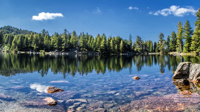 Mountain lake swimming