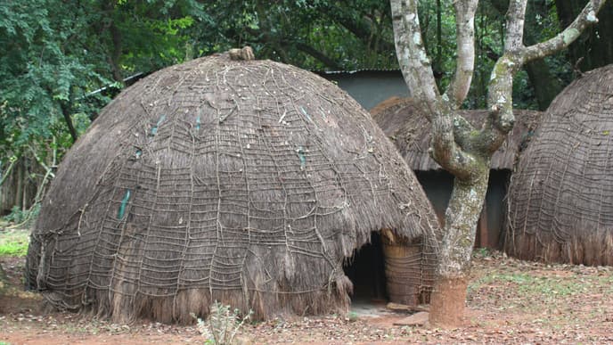 Mlilwane Wildlife Sanctuary in Swasiland
