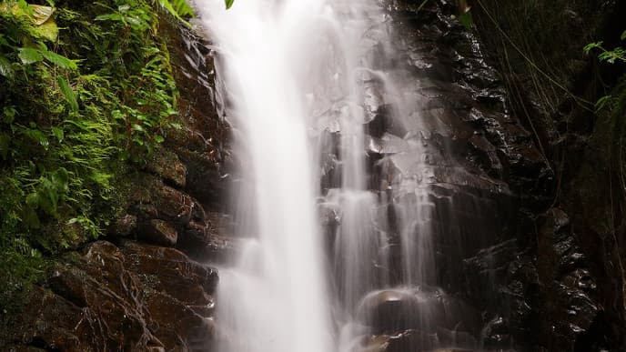 Visit Mindo's astonishing cloud forest