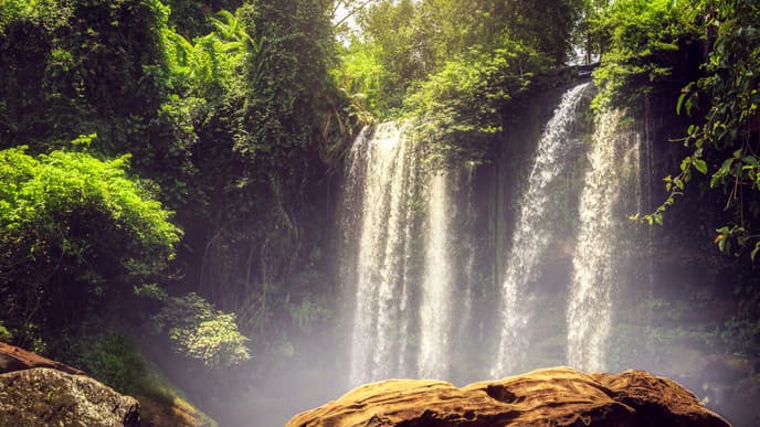 Into the heart of nature