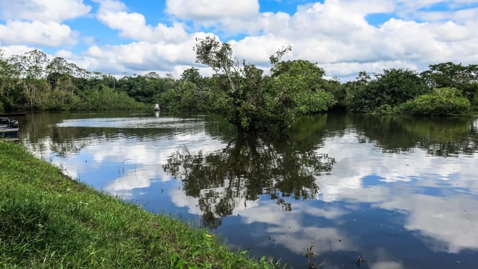 The Waters of the Rio Yacuma