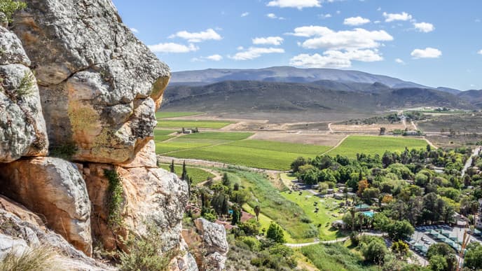 Wildlife of Mont Eco