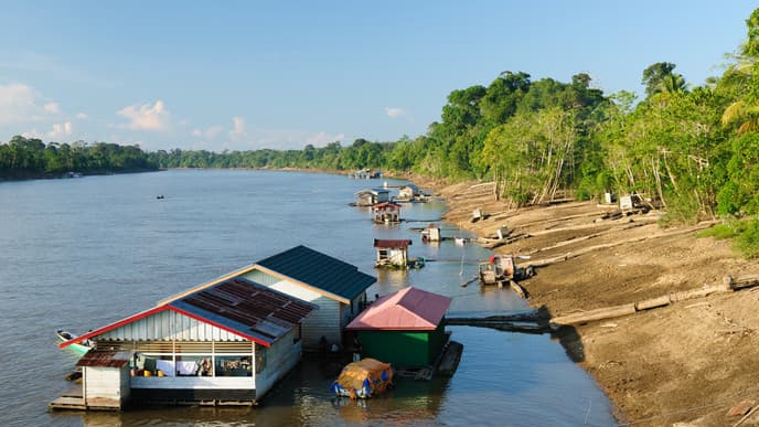 Orangutans & traditional Dayak culture