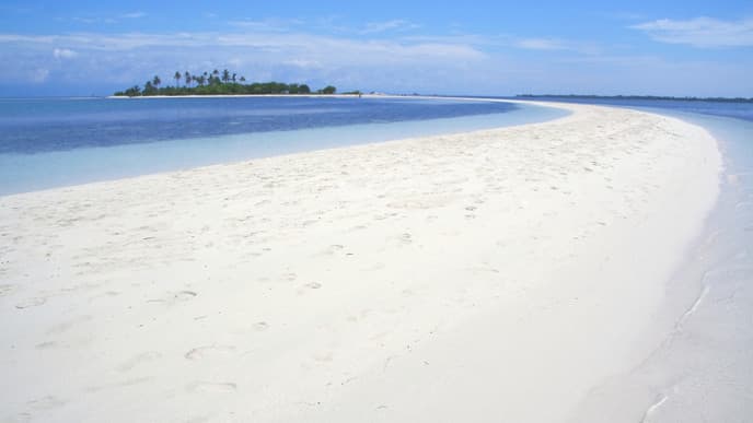 Transfer to Panglao beach resort