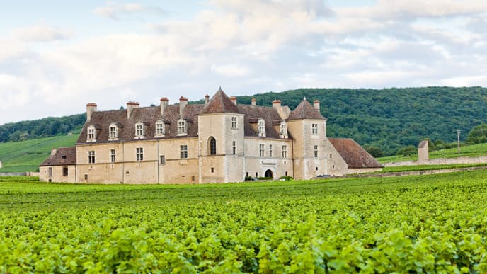 Visit the Elegant Vineyards of the Côte de Nuits