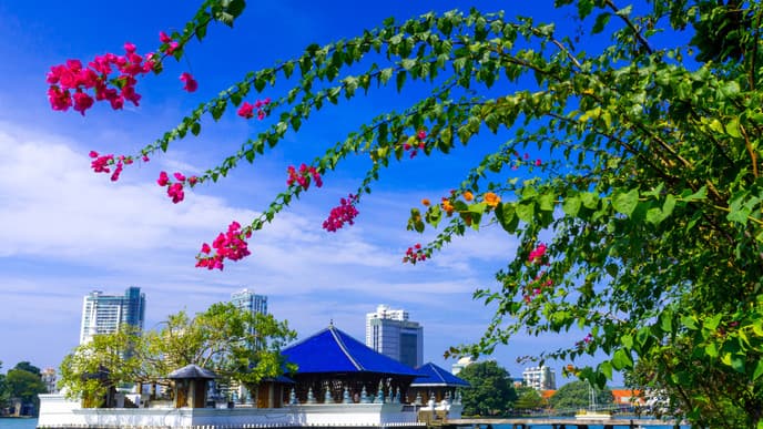 Abschied von Sri Lanka