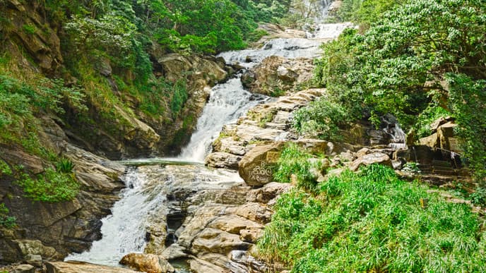 Besuch des Elefantentransitheims