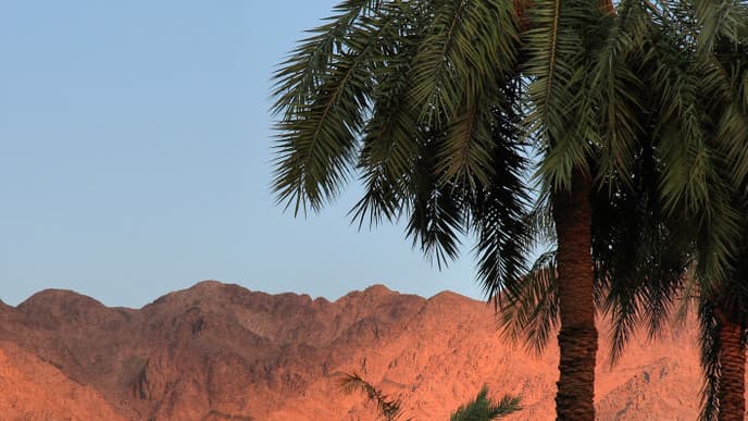 Dive to the Magnificent Seven Sisters