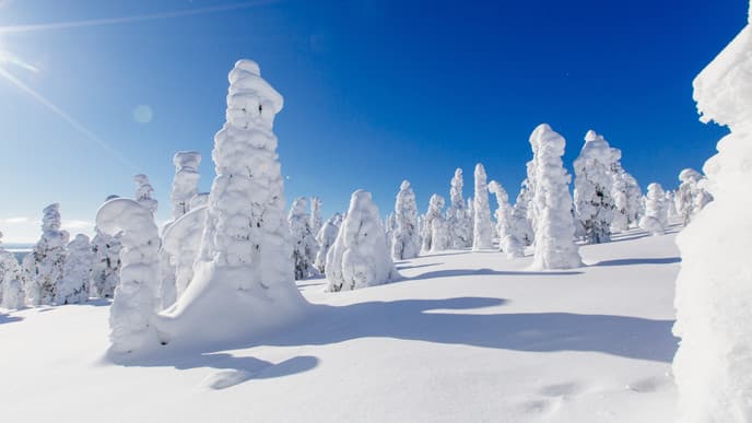 Snowy hike in Riisitunturi National Park