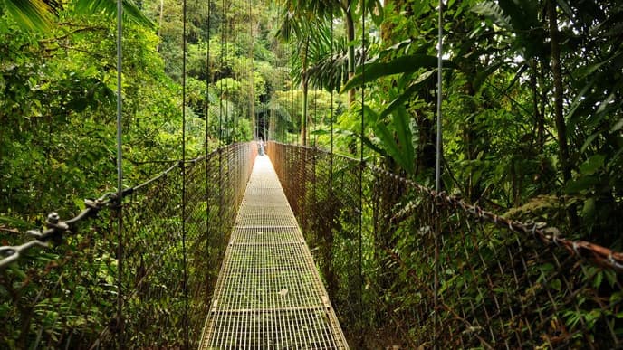 Wanderung im El Arenal National Park