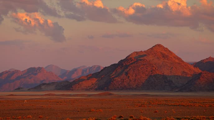 Erkundung von Sossusvlei und Deadvlei