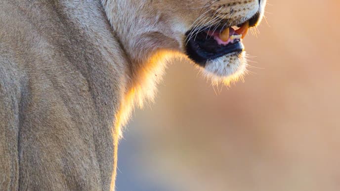 Spektakuläre Landschaften