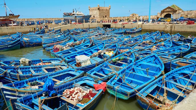 Explore more of enchanting Essaouira