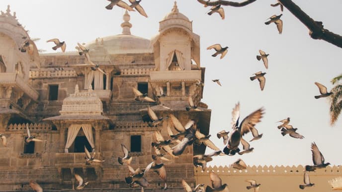 Farewell, India!