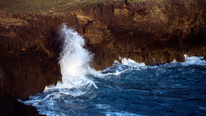 Unwind on the Shore or Enjoy Optional Activities