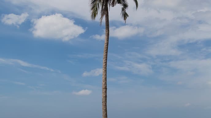 Auf Wiedersehen, Sri Lanka!