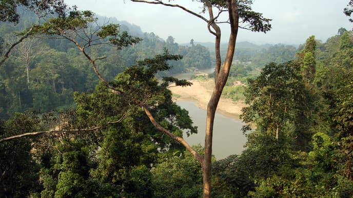 Fahrt nach Taman Negara