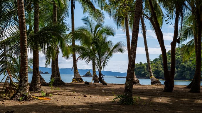 Journey to the coast