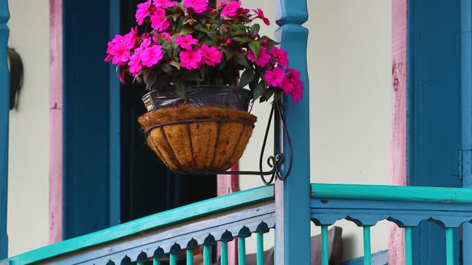 Visit a coffee plantation