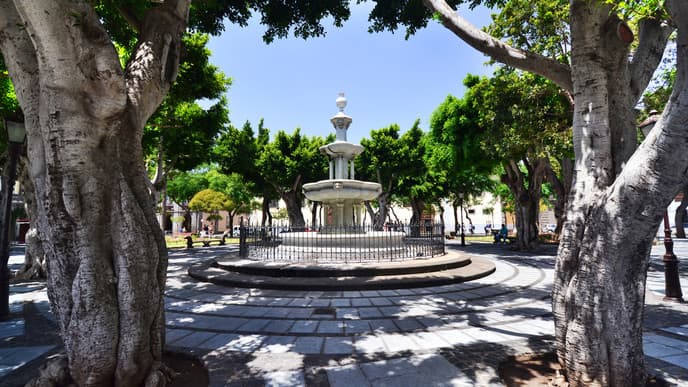 Farewell, Tenerife